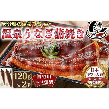 ふるさと納税 完全無投薬養殖!温泉うなぎ蒲焼 2尾(120gサイズ) 自宅用 エコ包装 [104-067] 大分県杵築市