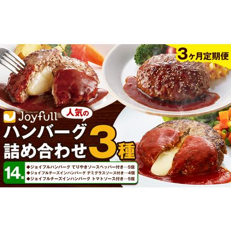 ふるさと納税 [3ヶ月定期便]ジョイフルハンバーグ 人気の詰め合わせ 14個 生ハンバーグ チーズインハンバーグ 1個120g ソース付き 食べ比べ 3.. 熊本県菊池市