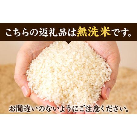 ふるさと納税 ＜令和8年産 新米受付＞米 あきたこまち【無洗米】15kg