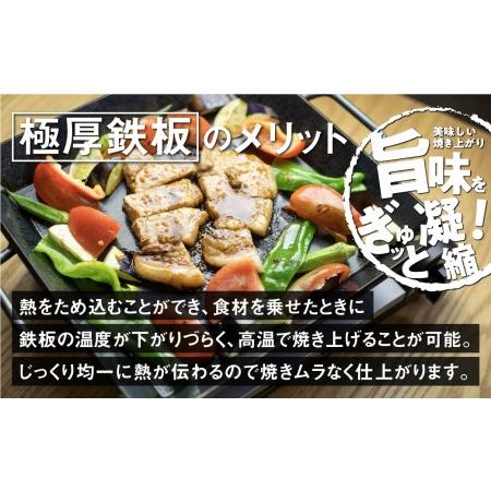 ふるさと納税 【AZUMOA -outdoor & camping-】 極厚鉄板（SS400浅型