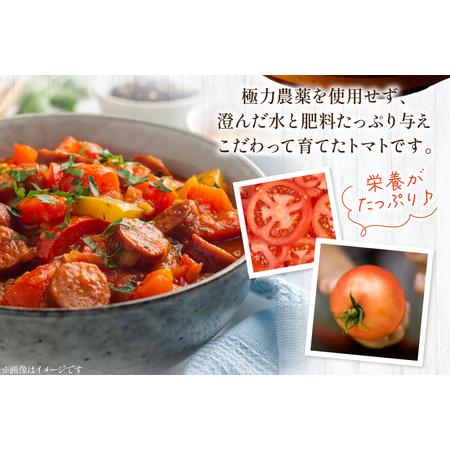 ふるさと納税 訳あり トマト 冷凍志宝トマト大玉 1kg (真空パック) [モアショップヤマモト 石川県 宝達志水町 38601347] 石川県宝達志水町_2