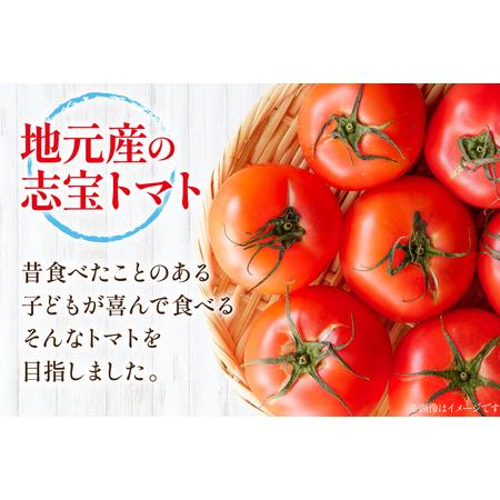 ふるさと納税 訳あり トマト 冷凍志宝トマト大玉 1kg (真空パック) [モアショップヤマモト 石川県 宝達志水町 38601347] 石川県宝達志水町_3