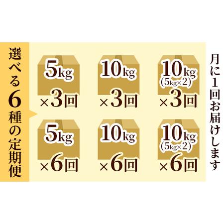 ふるさと納税 【定期便3回】 聖米(玄米) 10kg×3回 | 米 お米 こしひかり 玄米 京都府綾部市_4