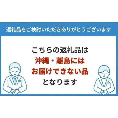 ふるさと納税 チキンナゲット ザクザク 麻辣湯風 スパイス 付き 102g10袋 計1.02g│冷蔵 チルド 日本ハム ニッポンハム チキン ナゲット オーブ.. 茨城県常総市の画像