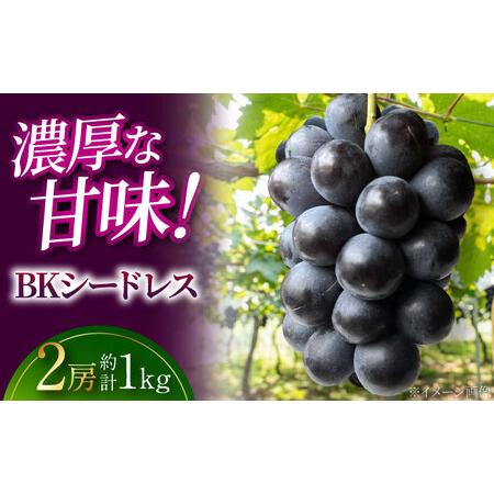 ふるさと納税 ぶどう BKシードレス 2房 三次市 [APAB008] ブドウ 広島県三次市