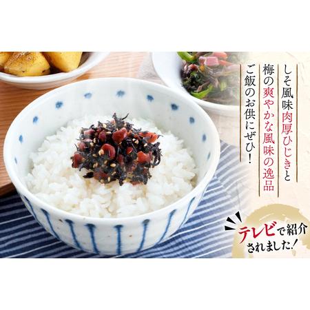 ふるさと納税 秘密のケンミンSHOW極で紹介！梅の実ひじき 150g 2個