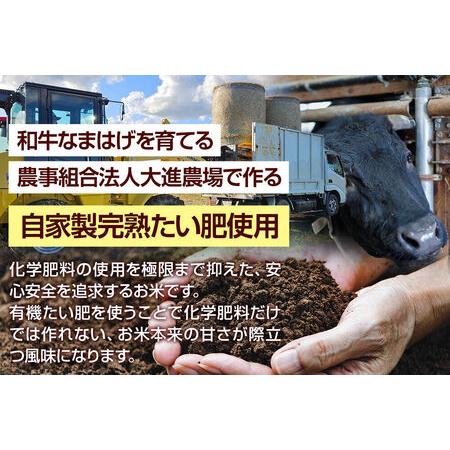 ふるさと納税 令和7年産 ミルキークイーン（精米）10kg（5kg×2袋）白米 こめ お米 秋田県 男鹿市 大進農場 秋田県男鹿市_2