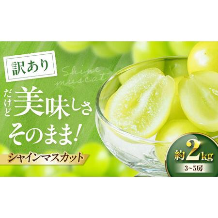 ふるさと納税 シャインマスカット 訳あり 約2kg シャインマスカット [AGBN056] 愛媛県大洲市