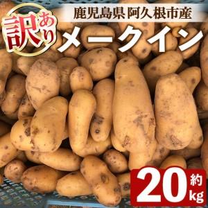 ふるさと納税 訳あり！じゃがいも メークイン(20kg) 国産 鹿児島県産