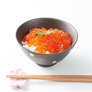 ふるさと納税 北海道とまり産 いくら醤油漬け 100g×1パック【配送不可地域：離島】【1715401】 北海道泊村の画像