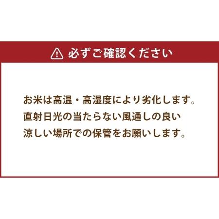 ふるさと納税 【 4か月連続定期便 】 【 令和7年度産 】 熊本県産のお米 5kg×4回 銘柄違い 計20kg 国産 熊本県産 お米 米 コメ ご飯 白米 ヒノヒ.. 熊本県の画像