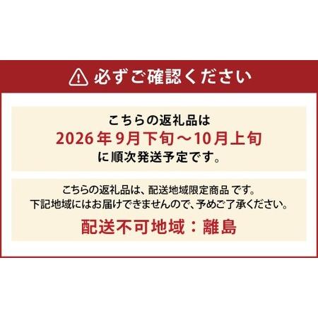 ふるさと納税 たっぷり日光を浴びたみずみずしい種無しぶどう3種セット ( シャインマスカット ＋ 旬なぶどう ) 約4kg 産地直送 フルーツ マスカ.. 山形県白鷹町の画像