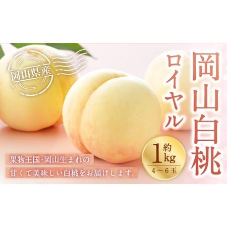 ふるさと納税 岡山白桃 ロイヤル 4〜6玉 約1kg 岡山県産 白桃 桃 もも モモ くだもの 果物 果実 フルーツ 国産 ギフト 贈り物 [ 2026年7月上旬.. 岡山県美咲町
