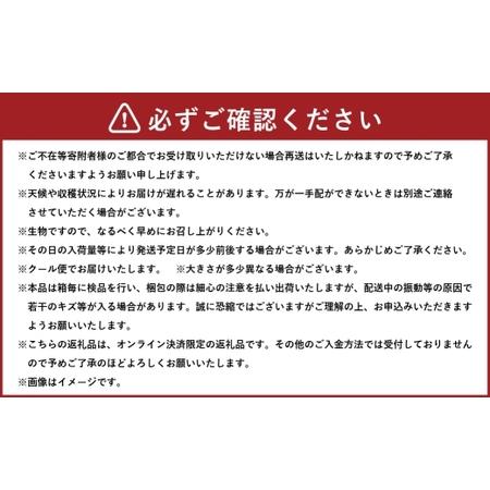 ふるさと納税 岡山白桃 ロイヤル 4〜6玉 約1kg 岡山県産 白桃 桃 もも モモ くだもの 果物 果実 フルーツ 国産 ギフト 贈り物 【 2026年7月上旬.. 岡山県美咲町の画像