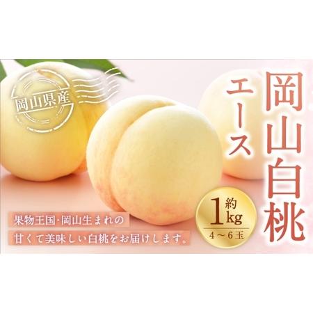 ふるさと納税 岡山白桃 エース 4〜6玉 約1kg 岡山県産 白桃 桃 もも モモ くだもの 果物 果実 フルーツ 国産 ギフト 贈り物 [ 2026年7月上旬〜8.. 岡山県美咲町