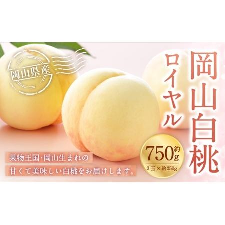 ふるさと納税 岡山白桃 ロイヤル 3玉×約250g ( 2Lサイズ ) 岡山県産 白桃 桃 もも モモ くだもの 果物 果実 フルーツ 国産 ギフト 贈り物.. 岡山県美咲町
