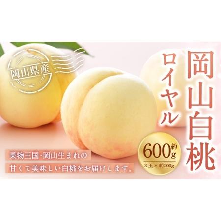 ふるさと納税 岡山白桃 ロイヤル 3玉×約200g ( Lサイズ ) 岡山県産 白桃 桃 もも モモ くだもの 果物 果実 フルーツ 国産 ギフト 贈り物 .. 岡山県美咲町