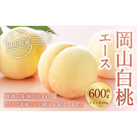 ふるさと納税 岡山白桃 エース 3玉×約200g ( Lサイズ ) 岡山県産 白桃 桃 もも モモ くだもの 果物 果実 フルーツ 国産 ギフト 贈り物 [.. 岡山県美咲町