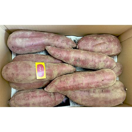 ふるさと納税 甘さ引き出す 熟成紅はるか 5kg さつまいも L〜LLサイズ サツマイモ さつま芋 甘い おやつ 食品  F21T-472 福島県天栄村の画像