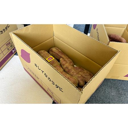 ふるさと納税 甘さ引き出す 熟成紅はるか 5kg さつまいも L〜LLサイズ サツマイモ さつま芋 甘い おやつ 食品  F21T-472 福島県天栄村の画像