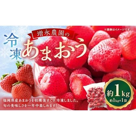 ふるさと納税 増永農園のあまおう冷凍いちご 約1kg あまおう 冷凍 いちご イチゴ 苺 国産 福岡県産 くだもの 果物 フルーツ 果実 福岡県苅田町
