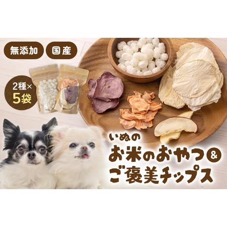 ふるさと納税 いぬのお米のおやつ25g×3袋 いぬのご褒美チップス20g×2袋 ペットフード 犬 無添加 おやつ 美味しい ご褒美 ドッグフード.. 北海道留萌市