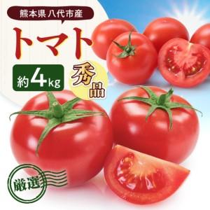 ふるさと納税 [先行予約] 熊本県八代市産 トマト 約4kg (20玉または24玉) 野菜 旬 [2027年1月上旬より順次発送] 熊本県八代市