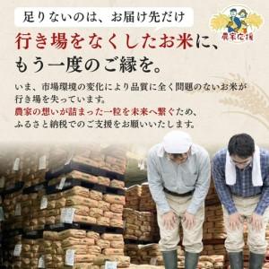 ふるさと納税 【5月中旬配送】農家応援! コシヒカリ 4kg 緊急価格改定 新潟県 上越市産 令和7年産 お米 精米 米 ご飯 送料無料 新潟県上越市