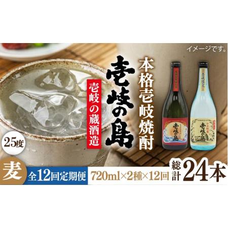 ふるさと納税 [全12回定期便]壱岐の島 25度と壱岐の島 かめ貯蔵 25度のセット [壱岐市][天下御免][JDB224] 長崎県壱岐市