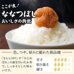 ふるさと納税 令和7年産 ＜定期便3回＞ 山下商店ななつぼし 10kg | 北海道岩見沢産 ななつぼし 米 白米 お米 岩見沢市【a164-013】 北海道岩見沢市_2