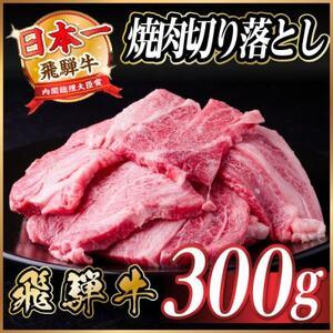 ふるさと納税 飛騨牛 焼肉切り落とし 約300g タレ付き 訳あり[冷蔵便]A4〜A5等級 黒毛和牛[配送不可地域:離島][1721947] 岐阜県羽島市