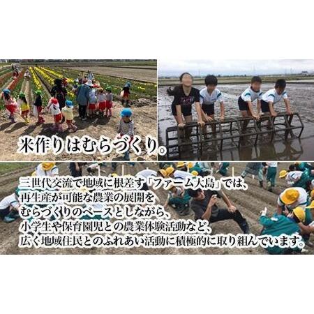 ふるさと納税 【3ヶ月定期便】【射水市】【総理大臣賞】【三世代交流】【射水の美味しいお米】射水市 おおしま ほほ笑み米 R8年度産 富富富 10kg.. 富山県射水市の画像