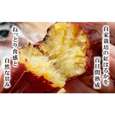 ふるさと納税 先行予約 冷凍 超熟焼きいも 約1.9kg 大容量 さつまいも 茨城県つくば市の画像