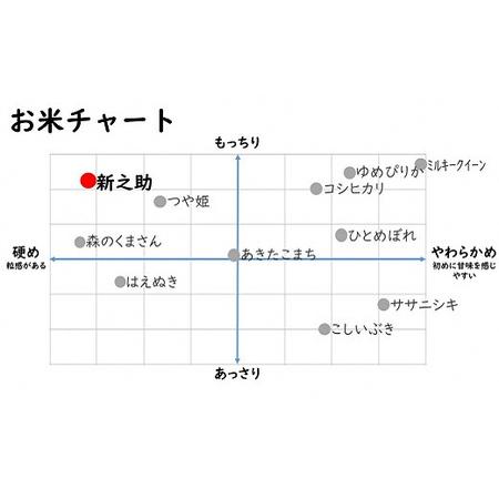 ふるさと納税 令和7年産米【五ツ星お米マイスター厳選 3ヶ月定期便】新之助 白米 6kg（2kg×3袋）×3回（計 18kg）[Y0425] 新潟県柏崎市の画像