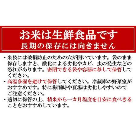 ふるさと納税 令和7年産米【五ツ星お米マイスター厳選 3ヶ月定期便】新之助 白米 6kg（2kg×3袋）×3回（計 18kg）[Y0425] 新潟県柏崎市の画像