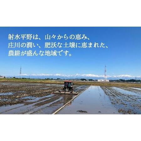 ふるさと納税 【3ヶ月定期便】【射水市】【射水の美味しいお米】若竹のお米 R8年度産てんたかく10kg（5kg×2） | 新米 先行予約 令和8年産米.. 富山県射水市の画像
