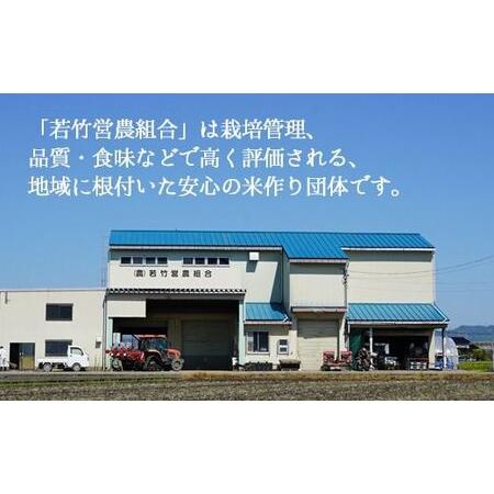 ふるさと納税 【3ヶ月定期便】【射水市】【射水の美味しいお米】若竹のお米 R8年度産てんたかく10kg（5kg×2） | 新米 先行予約 令和8年産米.. 富山県射水市の画像