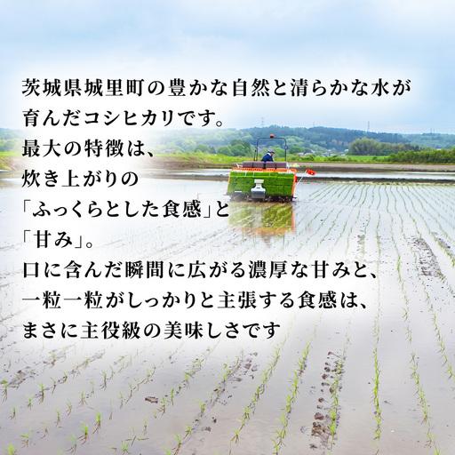 ふるさと納税 【新米】【 3ヵ月 定期便】 コシヒカリ 5kg ×3回 令和8年産 精米 先行予約 産地直送 茨城県 城里町 新米 精白米 米 ご飯 こし.. 茨城県城里町 |  | 02