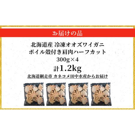 ふるさと納税 北海道産冷凍ボイルオオズワイガニ肩肉ハーフカット　300g×4 ABR056 北海道網走市_3