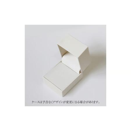 ふるさと納税 プラチナ 0.15ct 2石ダイヤモンドペンダント 山梨県 甲斐市 BQ-183 山梨県甲斐市の画像