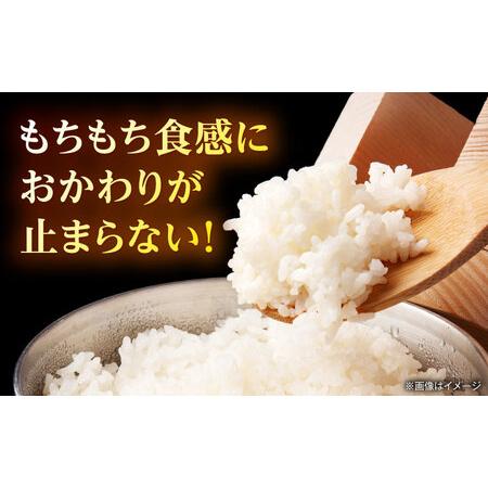 ふるさと納税 【先行予約】【6回定期便】山鹿市産 ヒノヒカリ 白米  5kg 【奥村果実園】[ZFK013] 熊本県山鹿市の画像