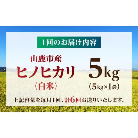ふるさと納税 【先行予約】【6回定期便】山鹿市産 ヒノヒカリ 白米  5kg 【奥村果実園】[ZFK013] 熊本県山鹿市の画像