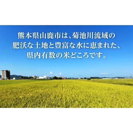 ふるさと納税 【先行予約】【6回定期便】くまさんの輝き 白米  5kg 山鹿市産 【奥村果実園】[ZFK020] 熊本県山鹿市の画像