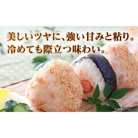ふるさと納税 【先行予約】【6回定期便】くまさんの輝き 白米  5kg 山鹿市産 【奥村果実園】[ZFK020] 熊本県山鹿市の画像