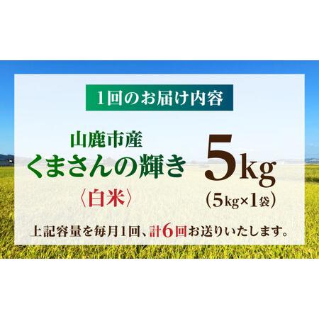 ふるさと納税 【先行予約】【6回定期便】くまさんの輝き 白米  5kg 山鹿市産 【奥村果実園】[ZFK020] 熊本県山鹿市の画像