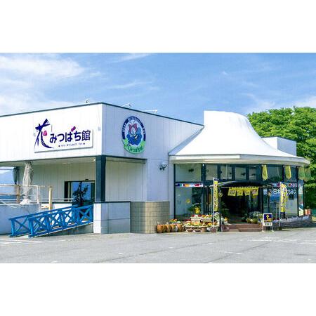 ふるさと納税 朝一番搾り！ 高級アカシヤはちみつ 250g×3本 花みつばち館 群馬県沼田市の画像