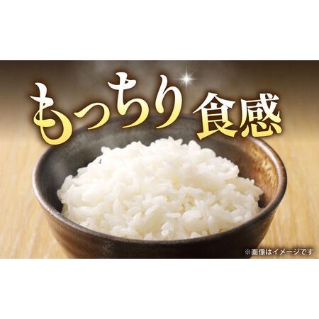 ふるさと納税 〈令和8年度産米〉【先行予約】熊本県産 お米 森のくまさん 20kg 【すみれファーム】[ZEP074] 熊本県山鹿市