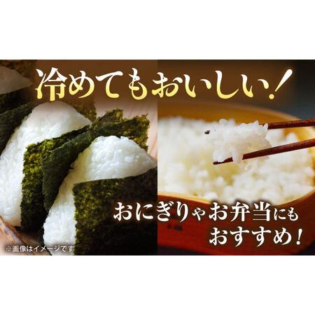 ふるさと納税 〈令和8年度産米〉【先行予約】熊本県産 お米 森のくまさん 20kg 【すみれファーム】[ZEP074] 熊本県山鹿市