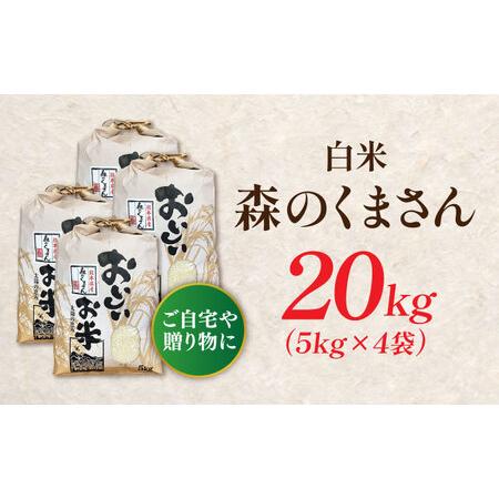 ふるさと納税 〈令和8年度産米〉【先行予約】熊本県産 お米 森のくまさん 20kg 【すみれファーム】[ZEP074] 熊本県山鹿市