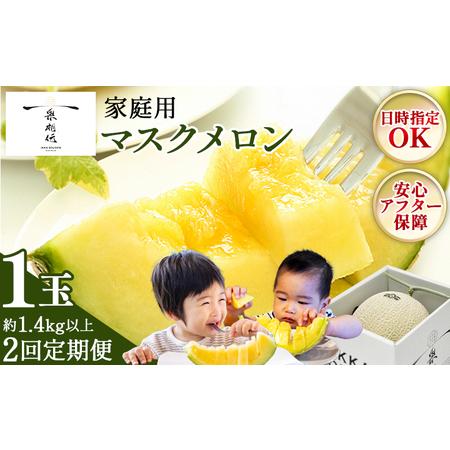 ふるさと納税 [2回定期便]マスクメロン(家庭用) 1玉入 青肉品種 高級メロン! / マスクメロン 果物 フルーツ ギフト 農家直送 Wtn-0057 高知県香南市